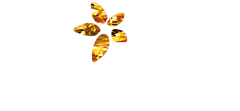 売上実績no 1 最適な在庫材料 Wl496ハロウィン 衣装 女王様衣装 マレフィセント オーロラ姫 ドレス コスプレ衣装 Maleficent 魔女 眠れる森の美女 ドレス セクシー コスチューム コスプレ オーロラ姫 アンジェリーナジョリー Wl496 Queenstylehayato